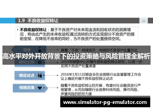 高水平对外开放背景下的投资策略与风险管理全解析